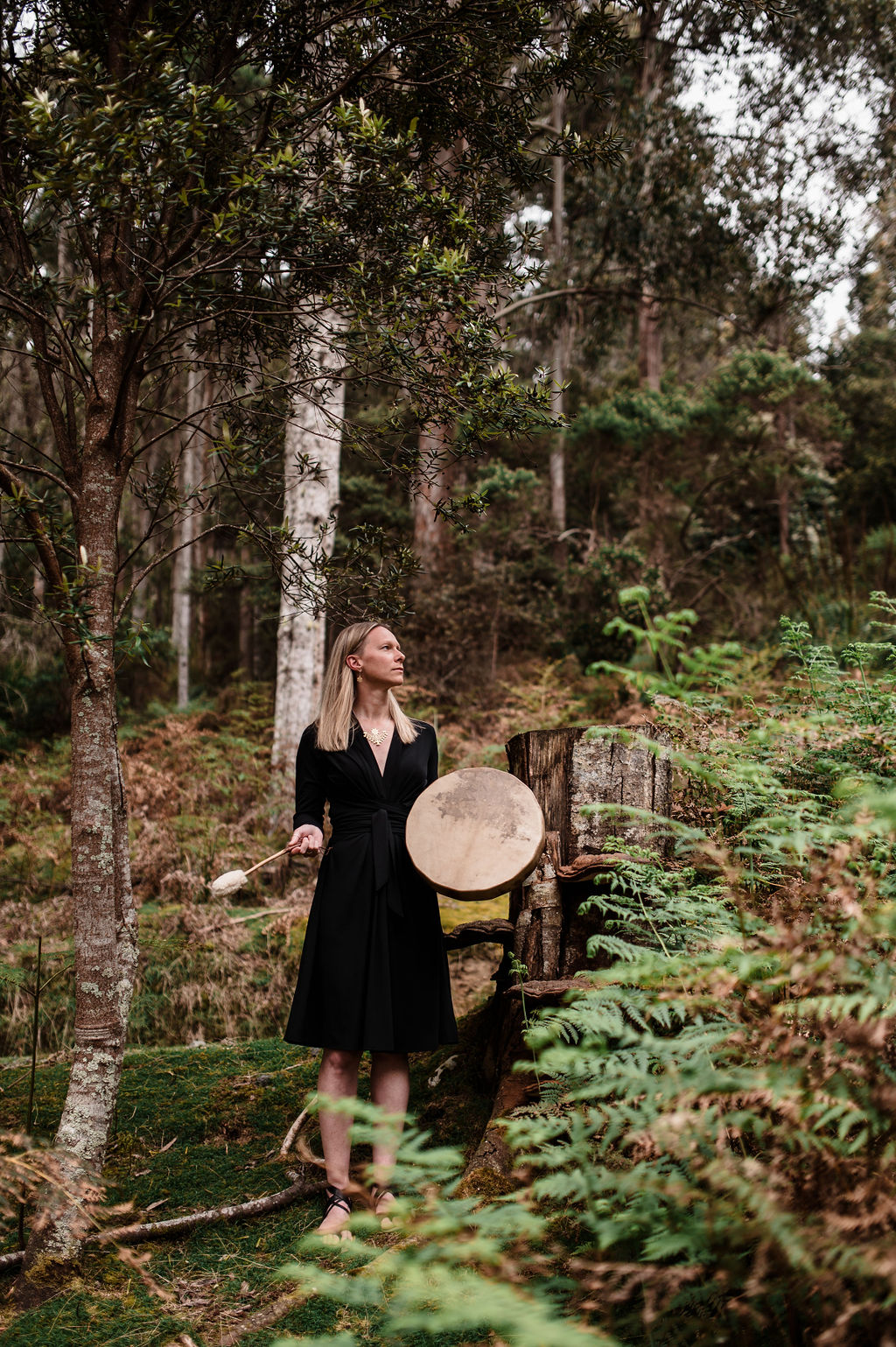 Celestial Sound bath ~ Shamanic Vision