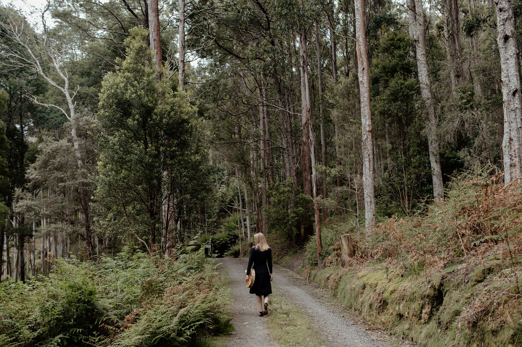 Eating the Sun ~ Shamanic Vision