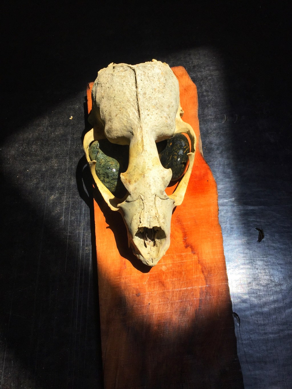 Sovereign Being of the land and the sea ~ Shamanic&nbsp;Vision