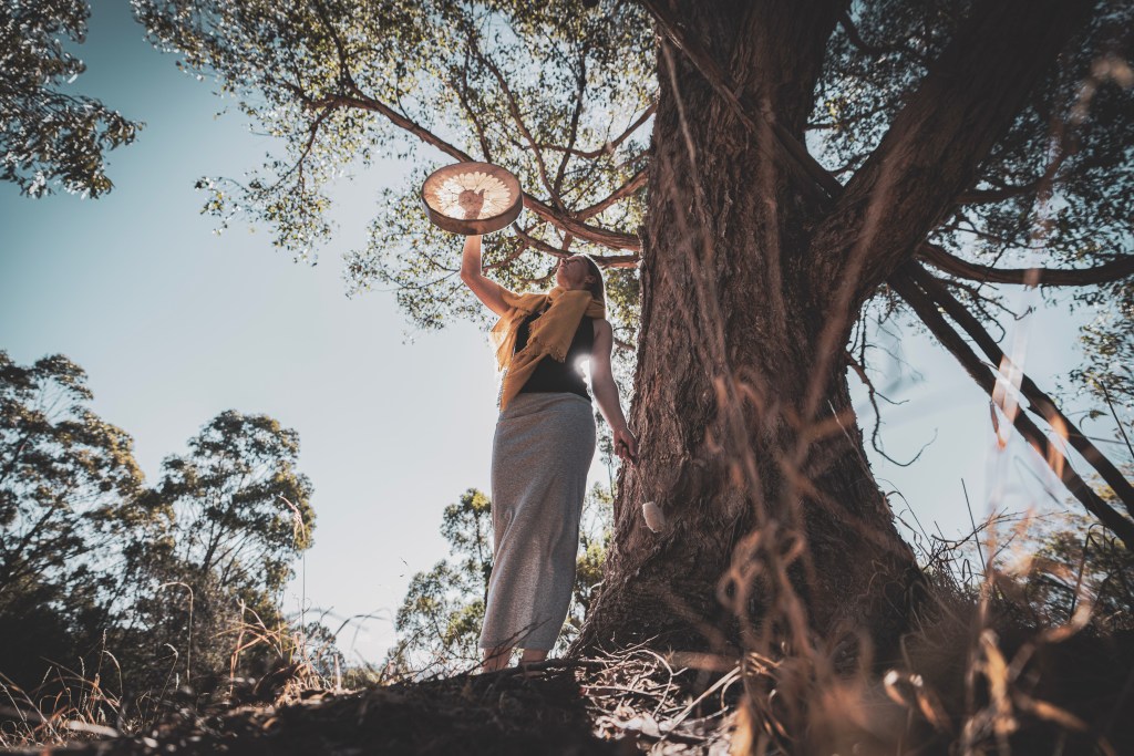 What does a Shaman&nbsp;do?